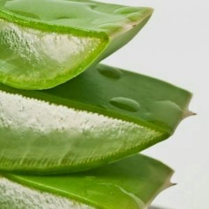 senteur aloe vera