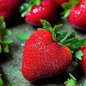fondants fraise des bois