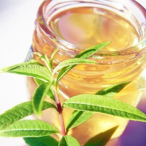 verveine